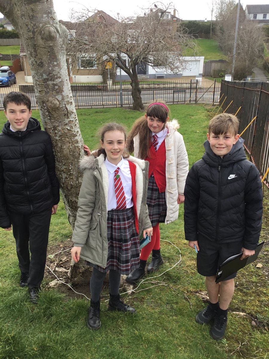 Carolside_PS's tweet photo. More photos of P7b exploring outside investigating biodiversity. #CPSSTEAM #ERSTEM #BSW22 https://t.co/PwJF85MNb9