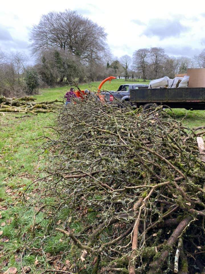 Mt_Briscoe's tweet photo. Hired a wood chipper for the day, and it horsed thru the wood, mostly brashings from trees that feel due to the recent storms sadly. But now they will act as a weed barrier to our new fruit trees, Hornbeam hedging and fruit bushes.
#MountBriscoeOrganicFarm
#wwof #organicfarming https://t.co/hVH699xd5t