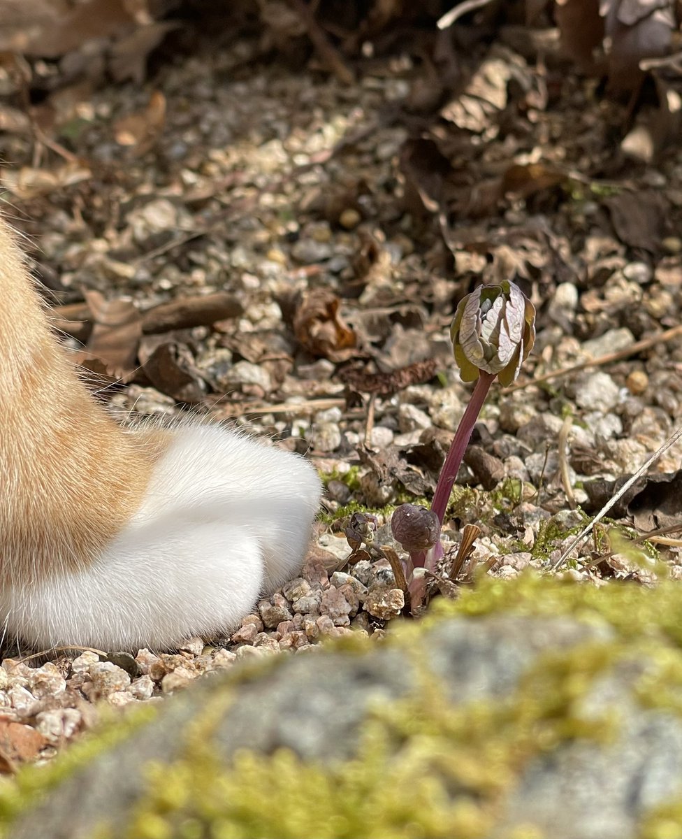 너의 발이 아니라 흑매발톱 싹을 찍으려했어 ㅋㅋㅋ