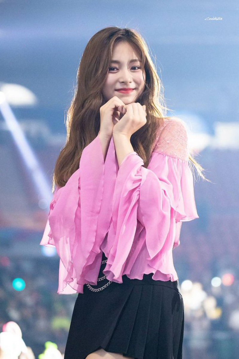 タグ Tzuyu の注目ツイート メガとんトラック