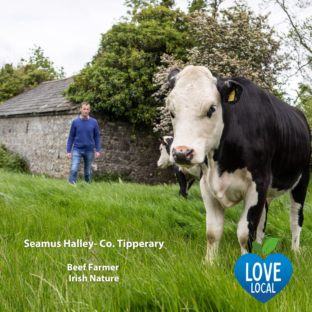 🇮🇪 With our lush grasslands, it's no wonder we're home to some of the world's most delicious beef! 🥩 We work closely with @AbpFoods and their network of hardworking farmers to ensure you serve your customers the most mouth-watering delicacies! #LoveLocal #SupportLocal