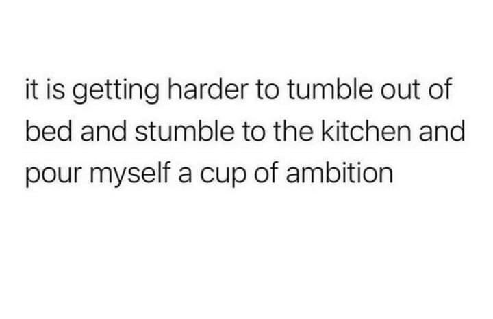 Help me, Dolly! 💁🏻‍♀️