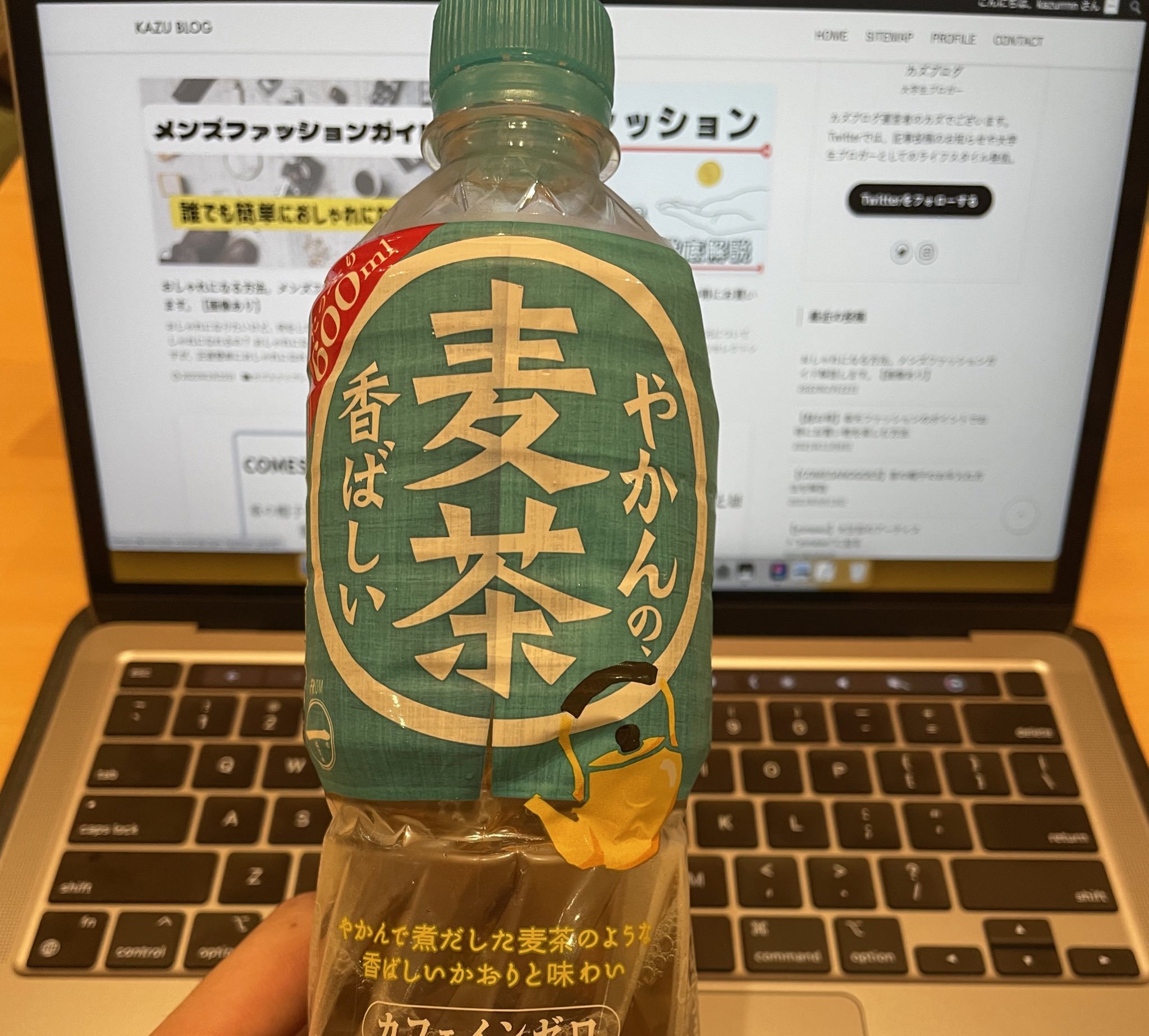カズ ブロガー Krrnn Mylife Twitter