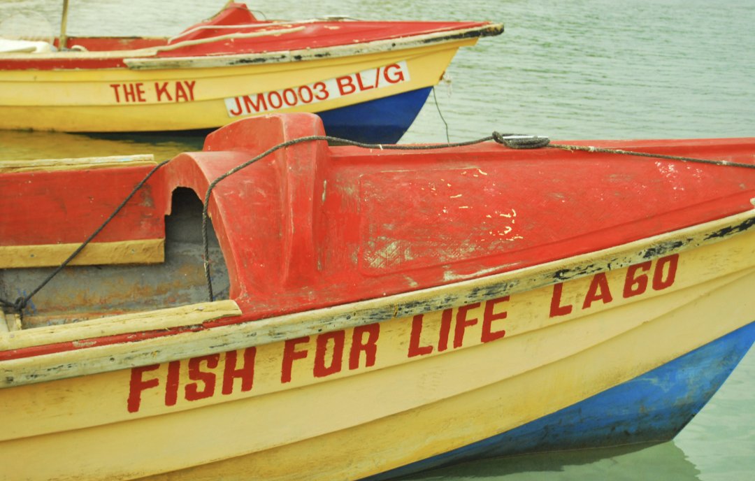 simichelee's tweet image. Hey! I'm conducting some research ultimately supporting fisher folk's transformation to formality.

Please take this *short* Blue Economy in Jamaica Survey. 🙏. It would really help the research.

forms.gle/vRZpQxFSbYQV4g…