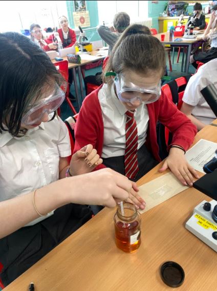 Carolside_PS's tweet photo. P6d exploring more details using microscopes. #CPSSTEAM #ERSTEM #BSW22 https://t.co/YXOgLlpUtJ