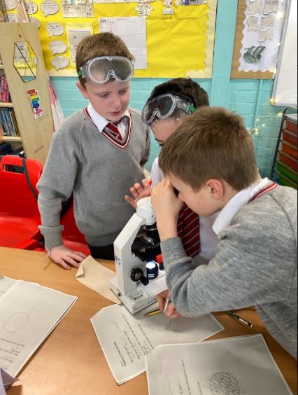 Carolside_PS's tweet photo. P6d exploring more details using microscopes. #CPSSTEAM #ERSTEM #BSW22 https://t.co/YXOgLlpUtJ