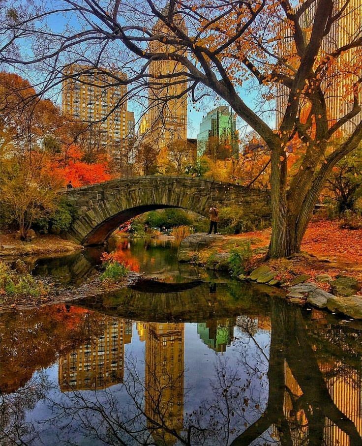 C@CHIS💋 tweet media