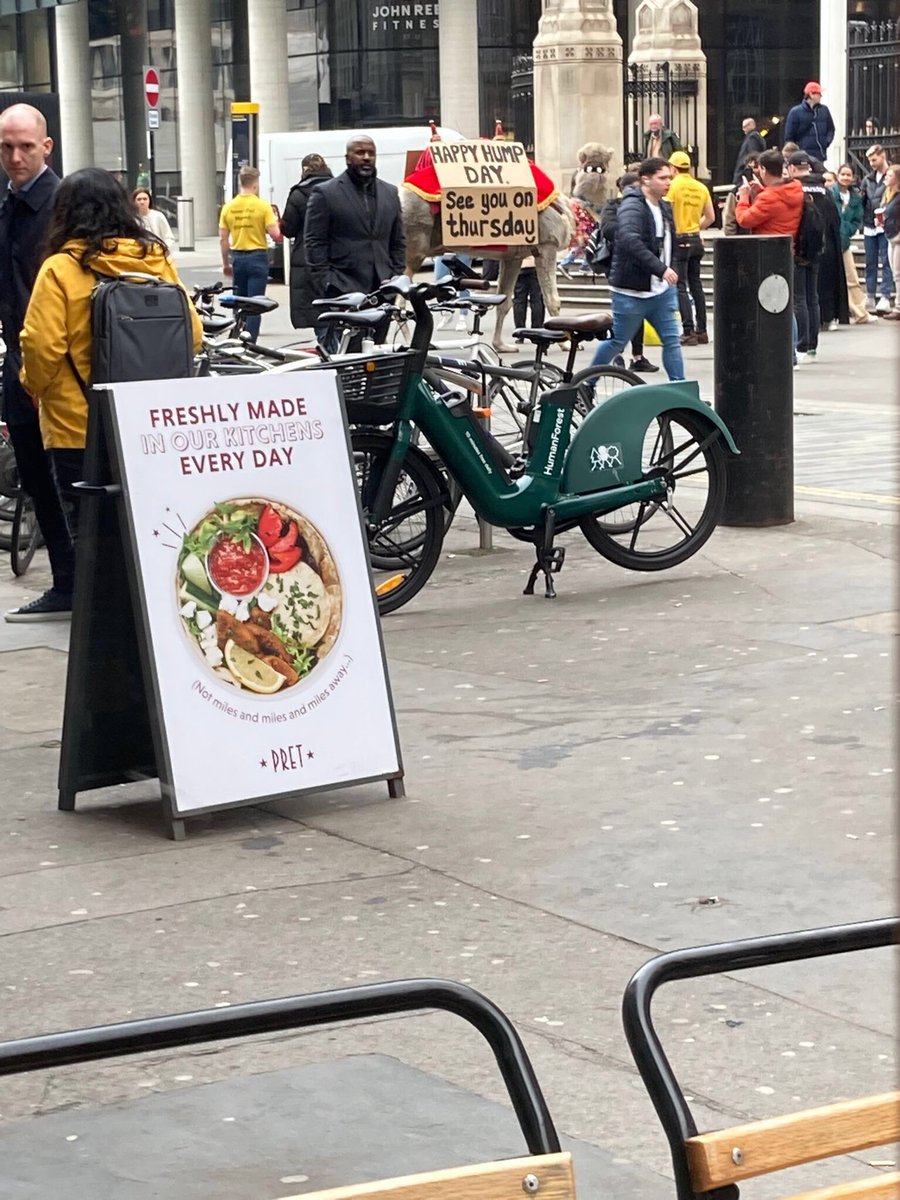 beccaeixo's tweet photo. Camel spotted on Liverpool Street for the Thursday dating app - PR fail?? All I keep thinking is poor camel 🥺 https://t.co/BWGG1NkS8Z