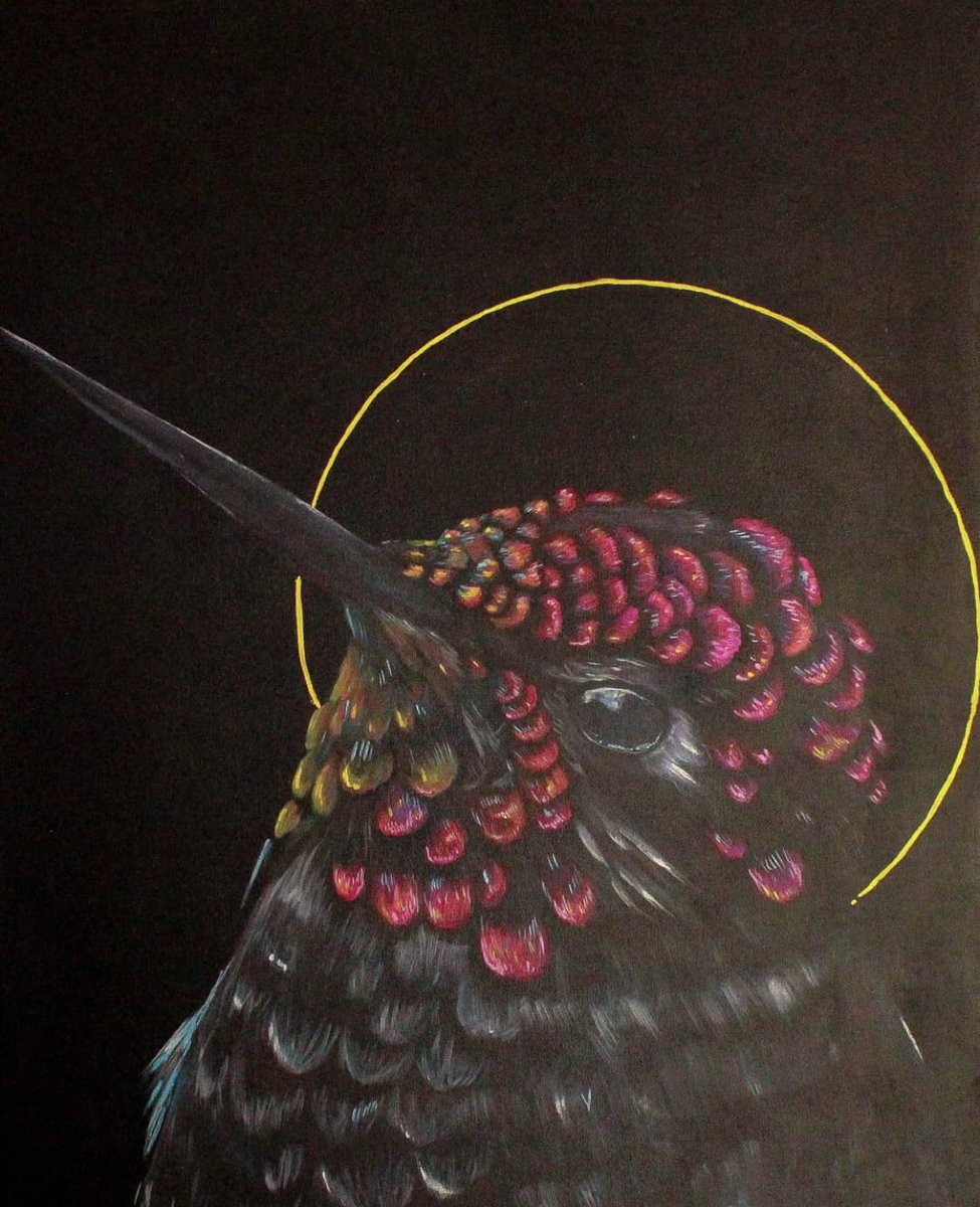 bilulu4's tweet photo. Acrílico/ tela #colibri  #hummingbird  #tlaxcala #galeria #arte #santo #artistas https://t.co/RY28MyVmhb