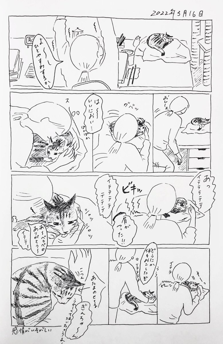 2022/3/16のぎんちゃん #今日のぎんちゃん 