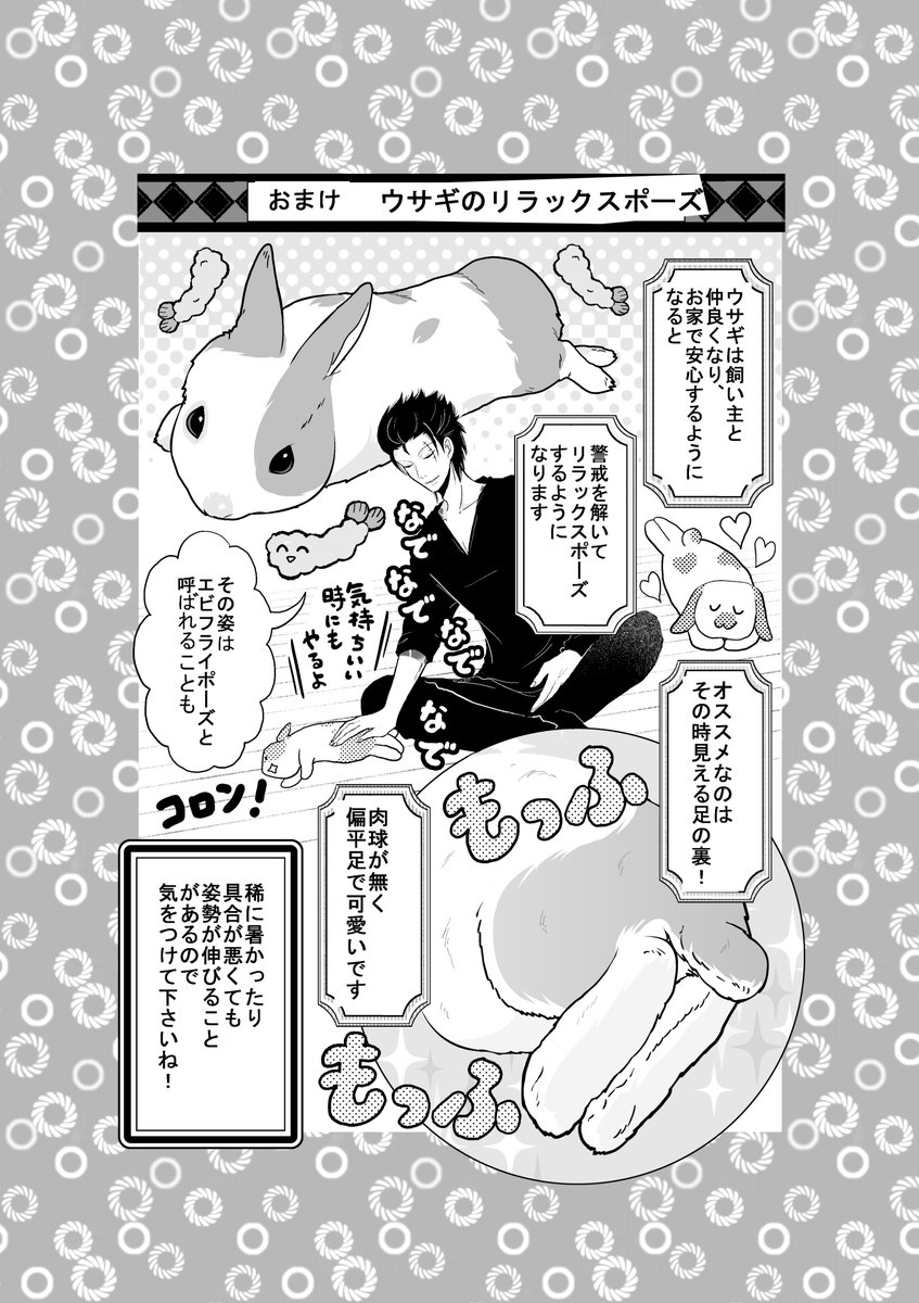 ウサギのリラックスポーズ 「手羽先」「エビフライ」「液状化現象」等