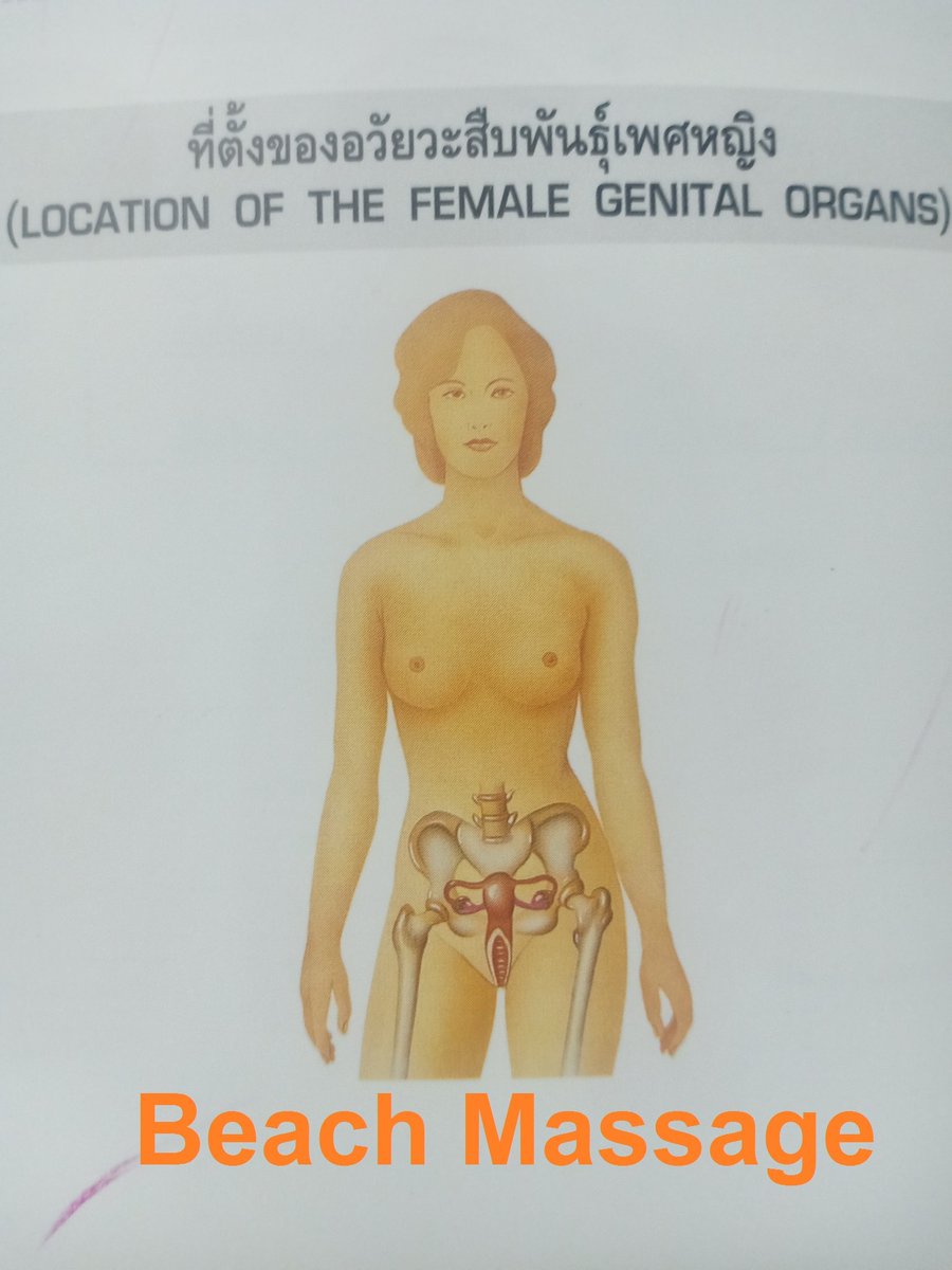 Beach Massage นวดกษัยสตรีเสริมสมรรถภาพทางเพศกระตุ้นระบบการทำงานของอวัยวะเพศ ด้วยศาสตร์การนวดปรับสมดุลสมดุลร่างกายที่หวังผลกระตุ้นการไหลเวียนของโลหิต ช่วยขับของเสียที่สะสมภายในระบบสืบพันธุ์บรรเทาอาการปวดส่วนล่าง เสริมสร้างความแข็งแรงระบบสืบพันธุ์และสมรรถภาพทางเพศจากภายในสู่ภายนอก