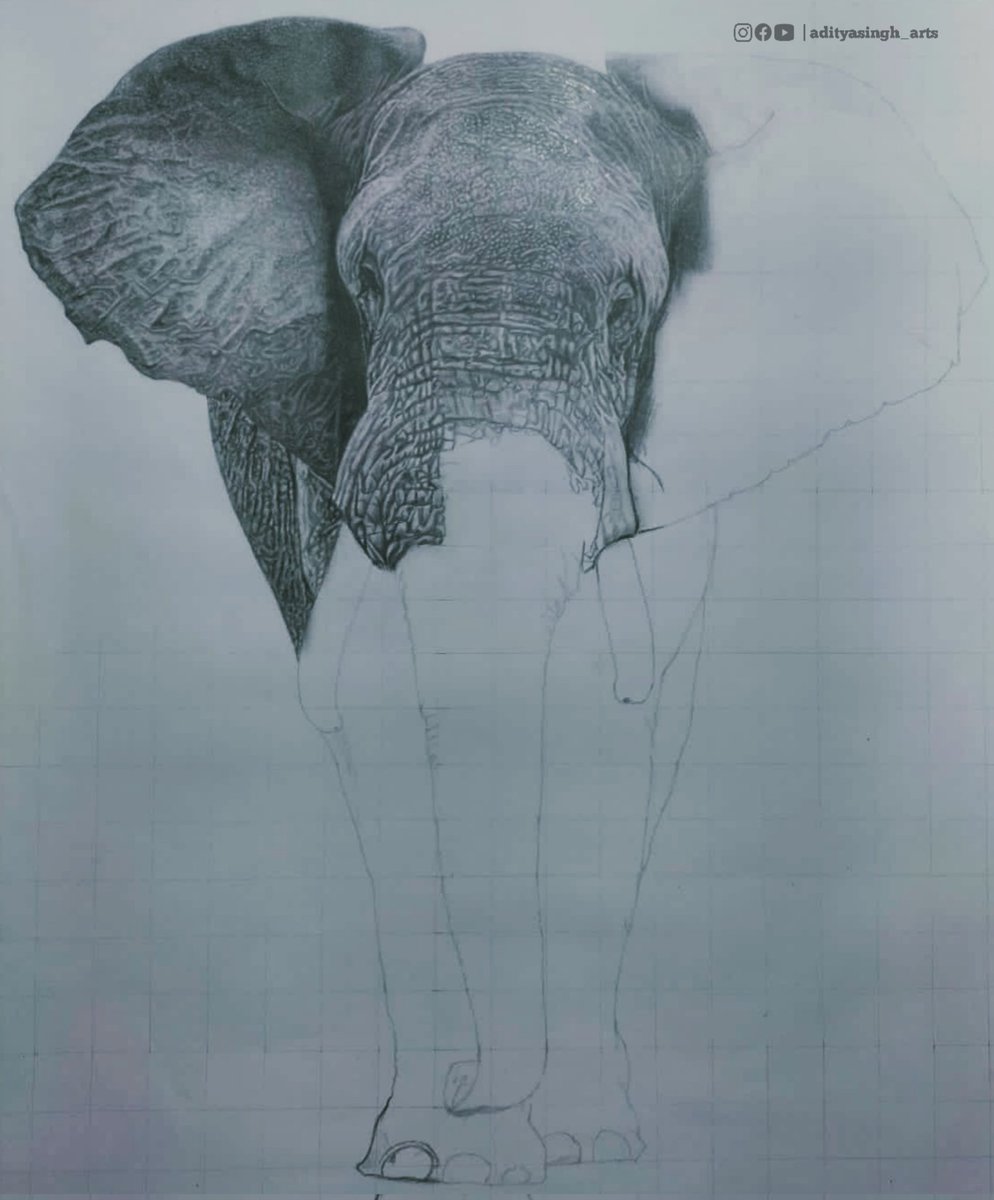AdityasinghArts's tweet photo. "The only time you should ever look back is to see how far you've come." I am excited to finish it , hope you love it ..
..
..
...
#wip#drawing #elphant #art #artofinstagram#pencildrawing #graphitedrawing#adityasingh_arts #pencilonpaper #instagram #hyperrealisticart #artwork https://t.co/6ZVnPqDX2o
