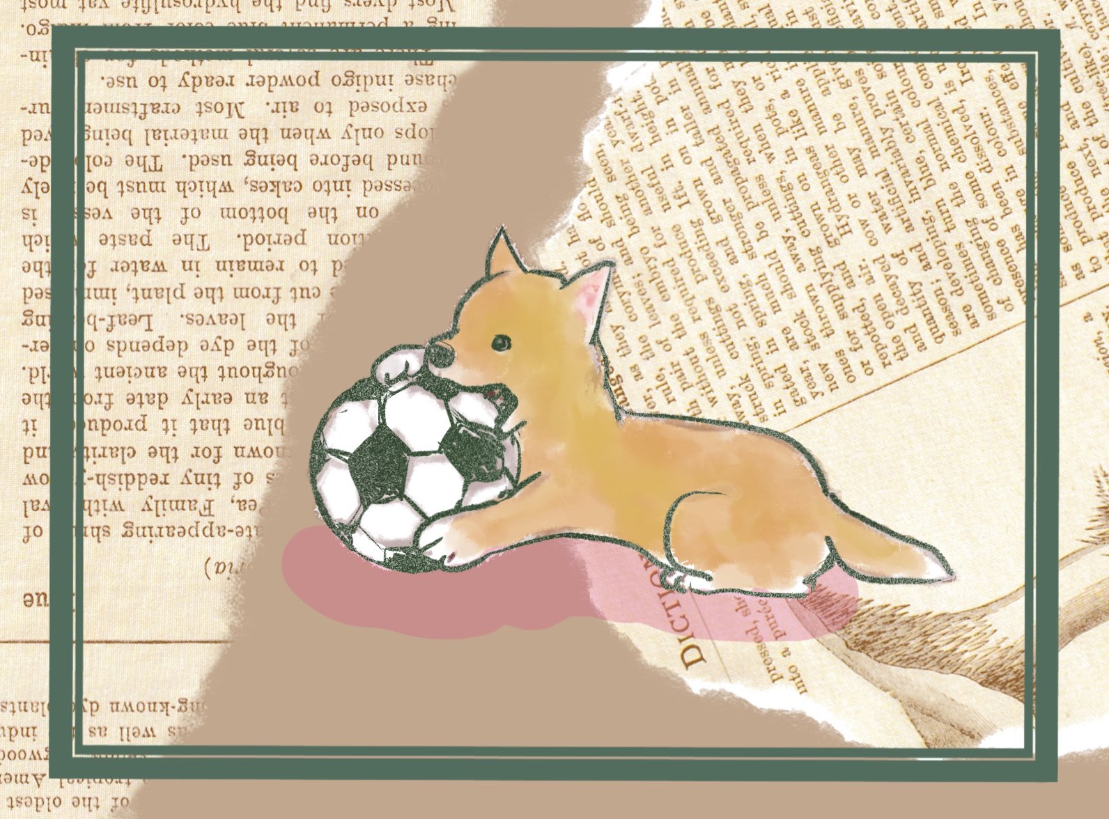 Yoko サッカーボール大好きわんこ わんこイラスト しばいぬ 犬イラスト イラストレーター ペットイラスト 芝犬イラスト T Co Xvcgnvdkoi Twitter