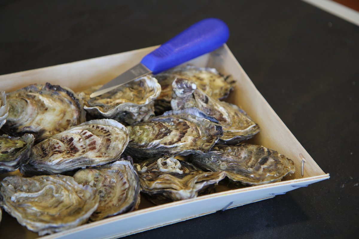 ottohay's tweet photo. Erikoistukkumme Kalatukku E. Eriksson ja Wolt aloittivat yhteistyöhön. Kuluttajille avautuu ainutlaatuinen tilaisuus woltittaa premium seafood -tuotteita Helsingin alueella. Lisää: https://t.co/84lQ5NXZPG
#tukku #kala #ruoka #ravintola https://t.co/8yGqtsbMZd