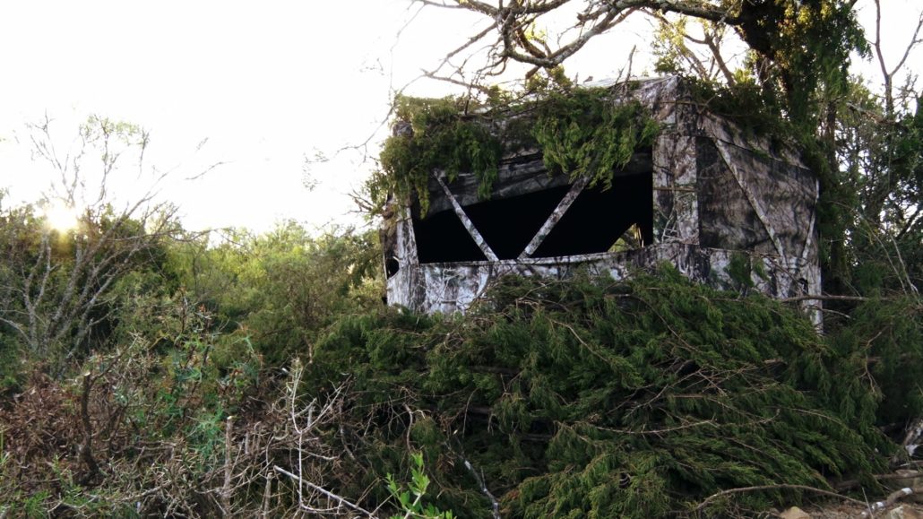 DeerGearTV's tweet photo. If you could only choose between a ladderstand or ground blind, which one you picking?
#teamoutdoors #bassproshops #cabelas #hawkhunting #huntfromabove #deerhunting #whitetail #hunting #ladderstand #huntingblinds https://t.co/4CABf3GvO6