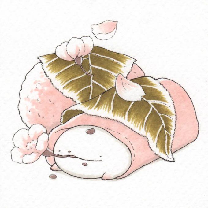 オオサンショウウオ、さくらまとめ🌸 