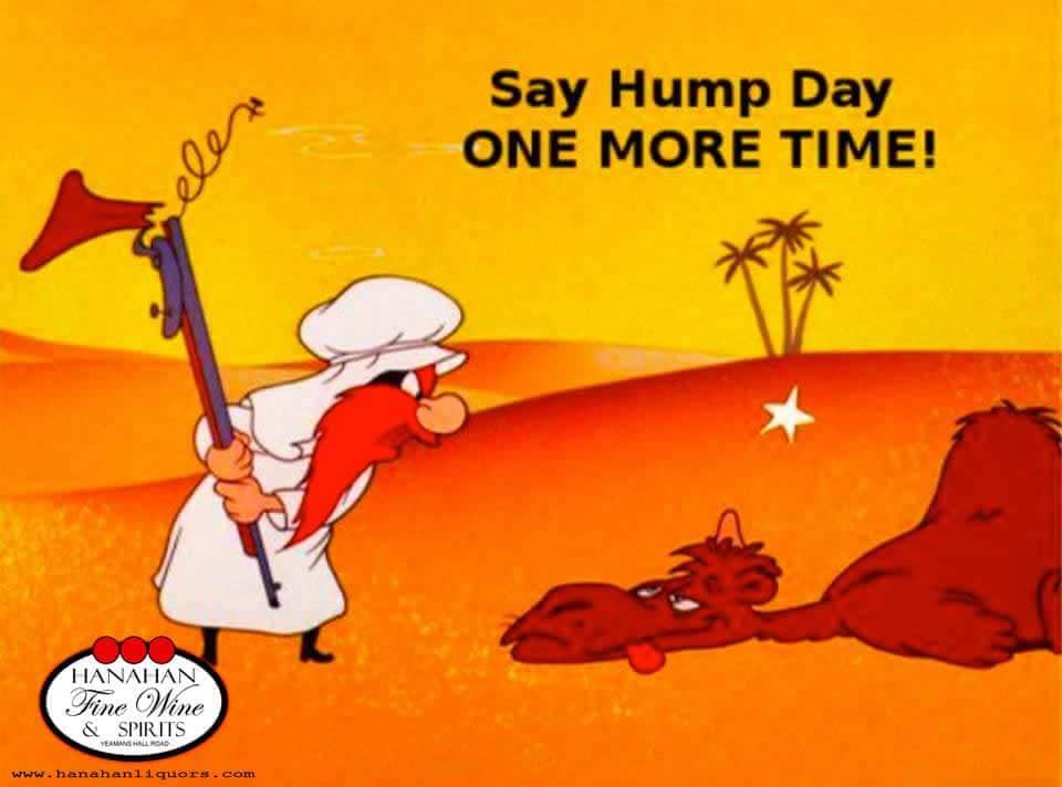 shawnmayotte's tweet photo. Happy Wednesday! #warnerbros #HumpDayMotivation #soberlife #mattskall #laughteristhebestmedicine https://t.co/AgATRL3Hsl