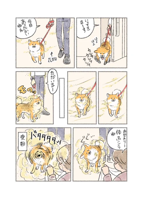 粉の運び屋 