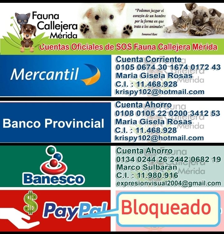 SOS Fauna Mérida tweet media