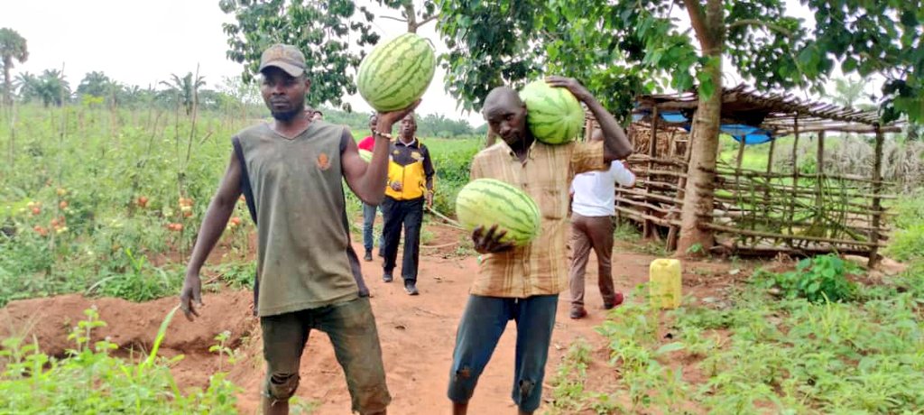 ABPInfos's tweet photo. #Burundi Les parlementaires élus dans la circonscription de @makambaProvince ont visité un jeune diplômé de la #FABI, @IrNeuphtalie qui a initié une Ferme d'Innovation et de Formation Agro-pastorale #FIFAP. https://t.co/2fpM0dV9fU