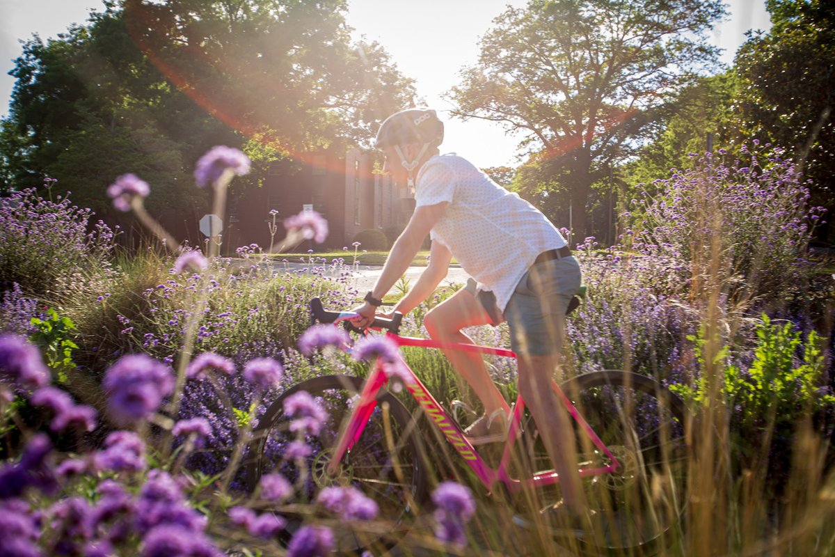 Dix Park Conservancy tweet media