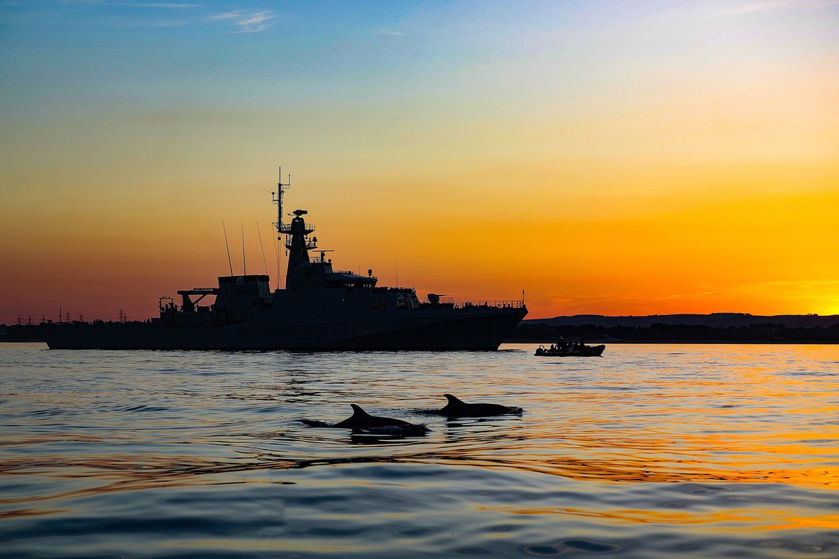 Dolphins accompany HMS Tamar at sunset.