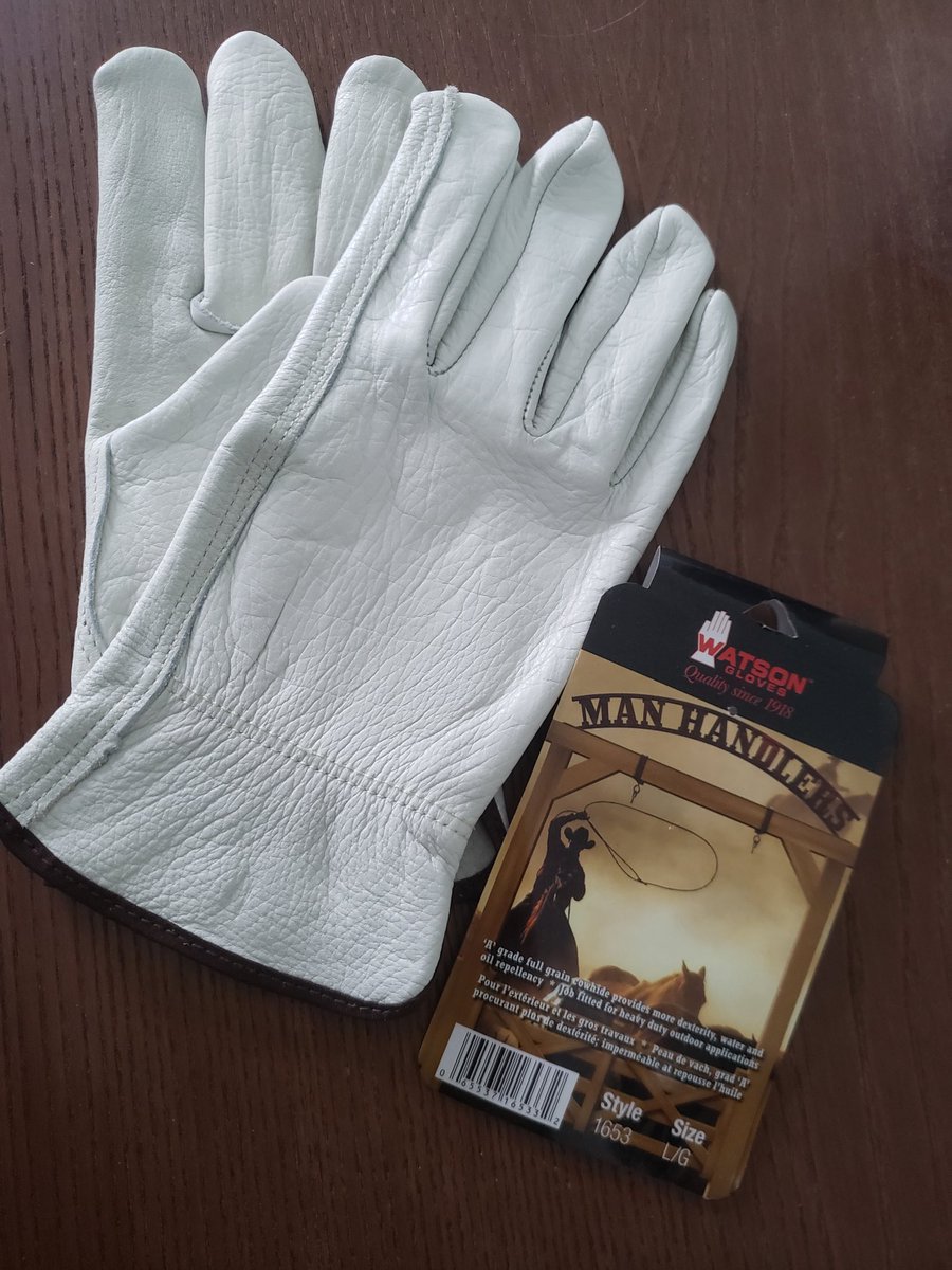 Sharon Lam tweet media