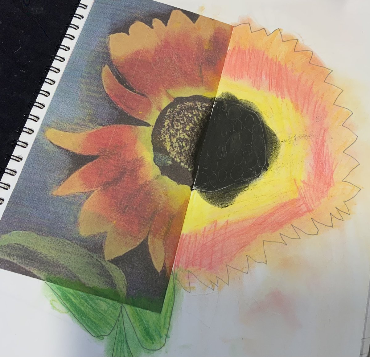 PPA Layton Primary tweet media