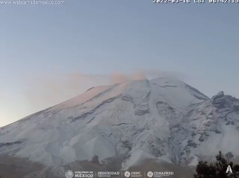 Tribuna Vigila tweet media