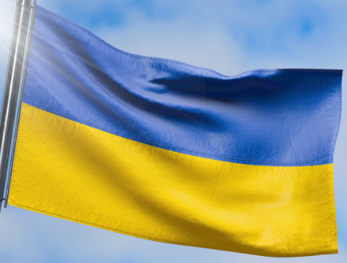 iDonate_ie's tweet photo. For those of you wondering how you can help the people of Ukraine, see our latest blog post below which outlines your options on https://t.co/Z1BA8SVuHk.
https://t.co/8SKukdq4Zx
#Ukraine #UkraineConflict #onlinefundraising #supportingcauses #howyoucanhelp https://t.co/IOtiEHEPiA