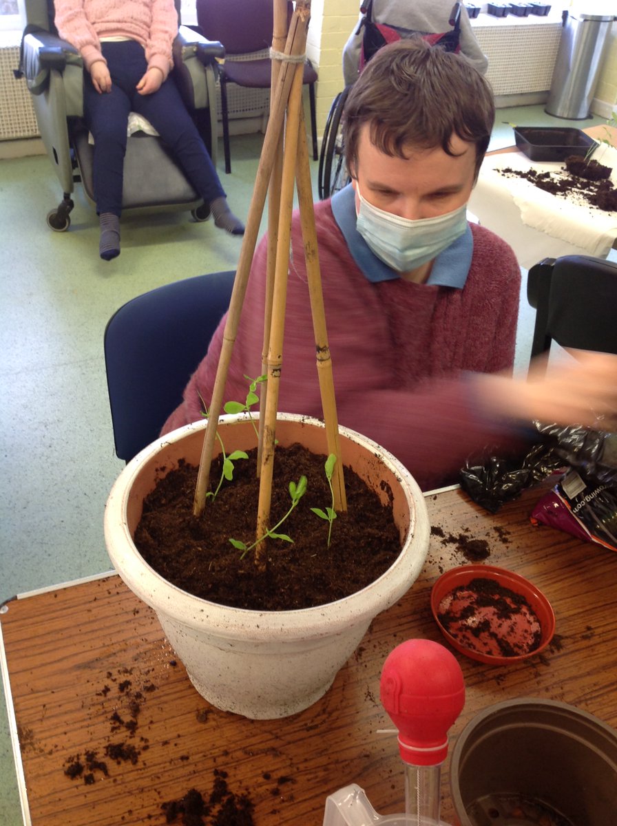 Supportability9's tweet photo. Our service users at Skills Group have been very busy and working incredibly hard during their gardening activities to prepare the garden ready for summertime.  Well done everyone, we can't wait to see it blooming. 🌻🌹🌞#disabilitydayservice #Stockport https://t.co/kHwr4k1VsV