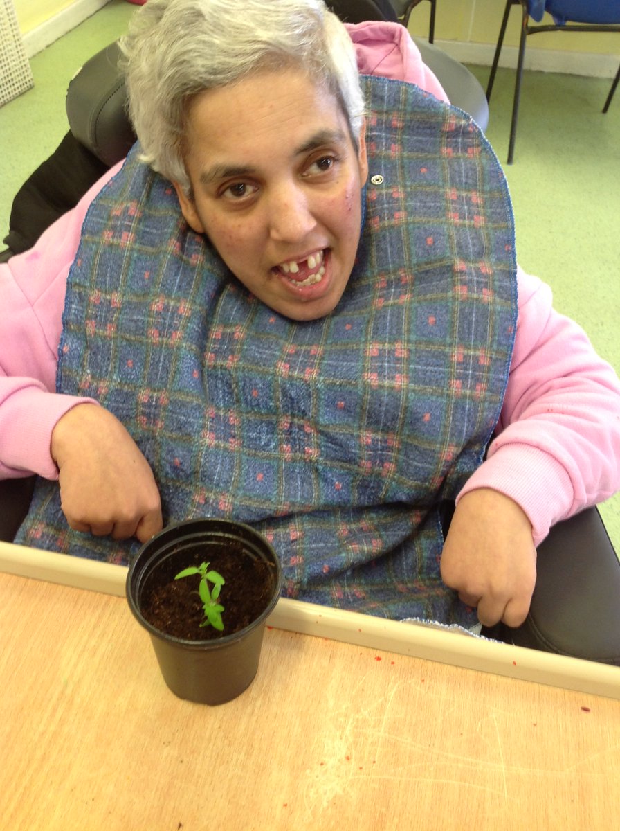 Supportability9's tweet photo. Our service users at Skills Group have been very busy and working incredibly hard during their gardening activities to prepare the garden ready for summertime.  Well done everyone, we can't wait to see it blooming. 🌻🌹🌞#disabilitydayservice #Stockport https://t.co/kHwr4k1VsV
