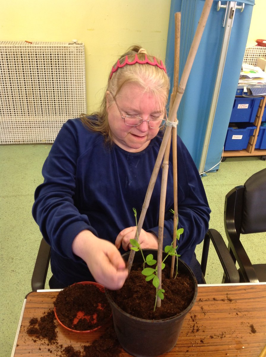 Supportability9's tweet photo. Our service users at Skills Group have been very busy and working incredibly hard during their gardening activities to prepare the garden ready for summertime.  Well done everyone, we can't wait to see it blooming. 🌻🌹🌞#disabilitydayservice #Stockport https://t.co/kHwr4k1VsV