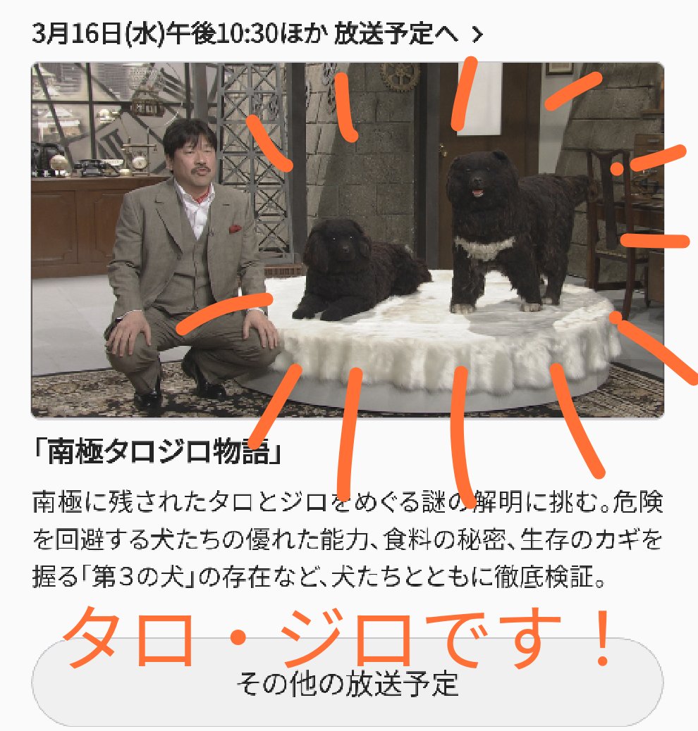 mido_feltart's tweet photo. 本日22:30～放送、NHK「歴史探偵」に私が過去に制作しましたタロジロ作品が出演いたします❗
https://t.co/NqY01Bophg

#タロとジロ #NHK #歴史探偵 #南極物語 #宗谷 #船の科学館 #カラフト犬 #オーダーメイド作品 https://t.co/bwPupdxXFz