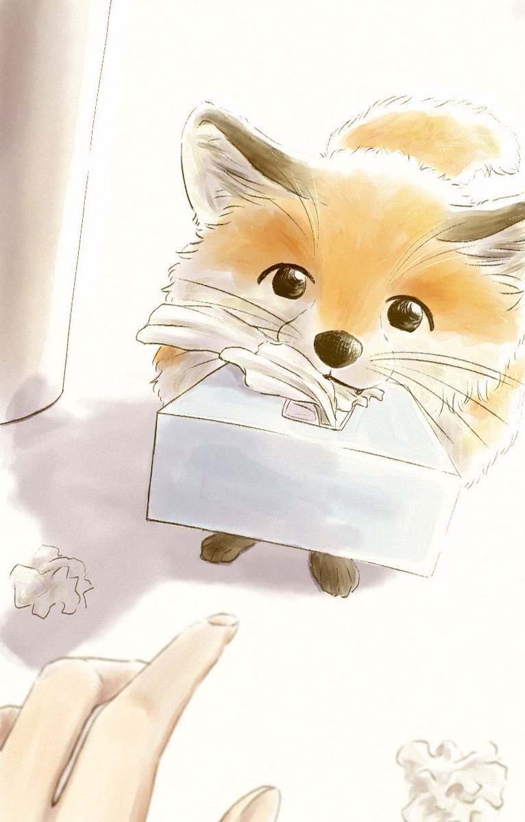 animal focus whiskers tissue box tissue pov hands animal out of frame  illustration images
