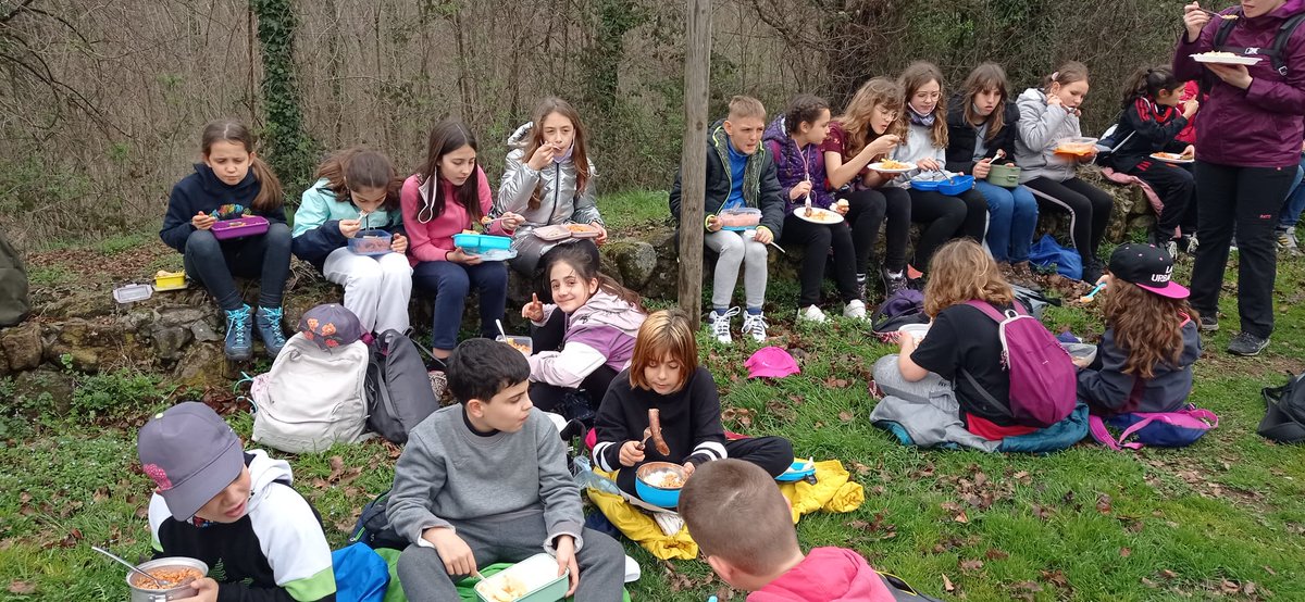 Escola Almacelles tweet media