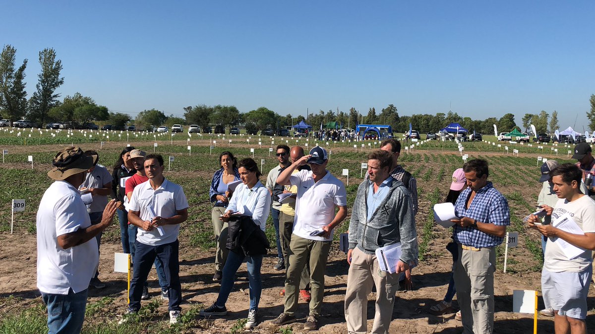 c_sampaoli's tweet photo. 👏👏👏👏@cachademeterlab @LigierAgro @demeterlab1 #jornadademeterlab https://t.co/0UptZ1iJaR