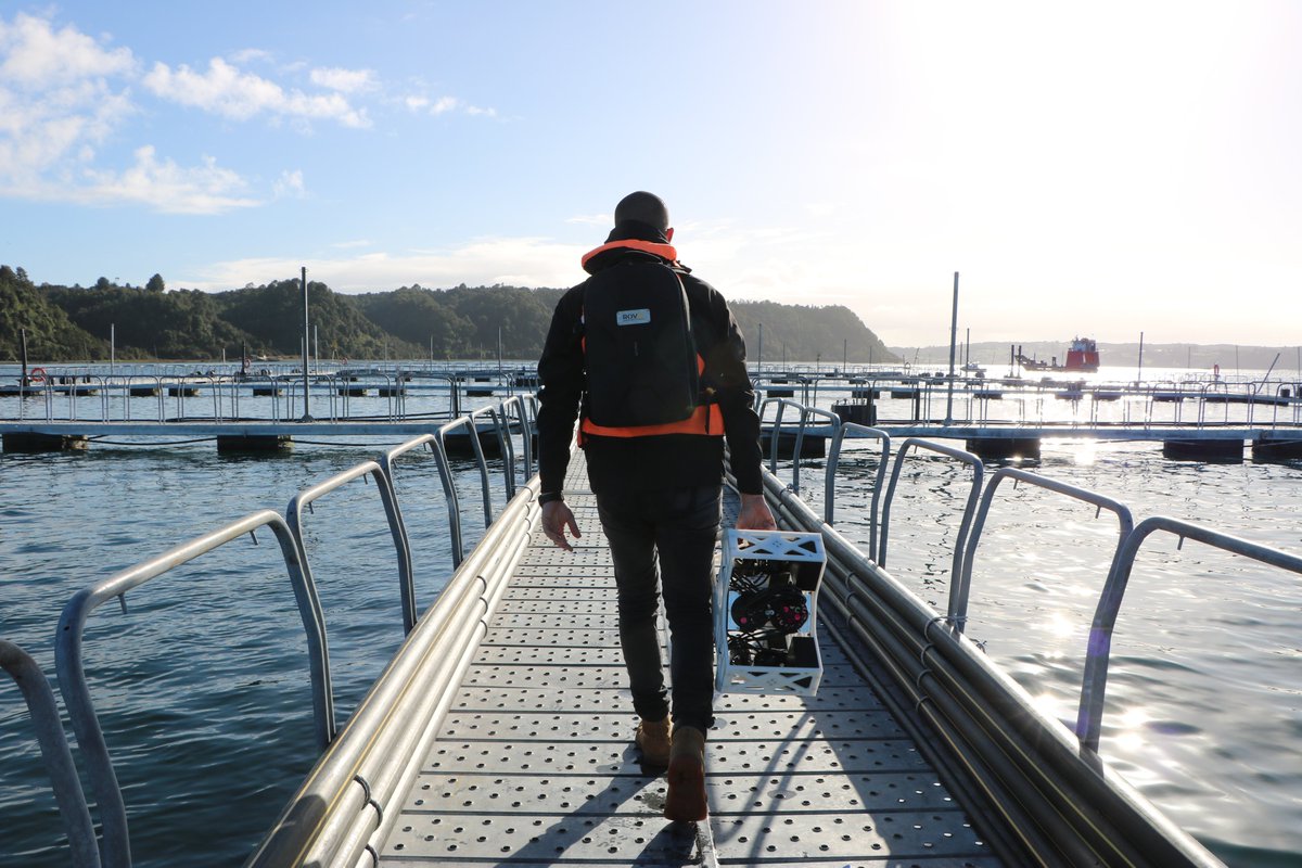 InnovaEngine's tweet image. #HistoriasDeÉxito Ya hemos hablado del #robot submarino que creamos para la industria #acuícola ¡Aquí te contamos cómo creamos a #ROVIE y cuáles son los desafíos futuros de esta innovación &quot;Hecha en Chile&quot;! Anímate a leerla: linkedin.com/pulse/c%25C3%2… Con apoyo @Corfo y #TriChile