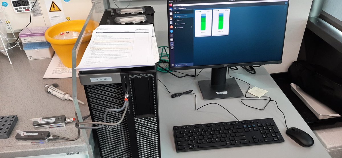 One MinION is not enough <a href="/nanopore/">Oxford Nanopore</a>! Time to sequence Verticillium strains with our two MinIONs <a href="/Team_Thomma/">Team Thomma @teamthomma.bsky.social</a> <a href="/UniCologne/">Universität zu Köln</a>