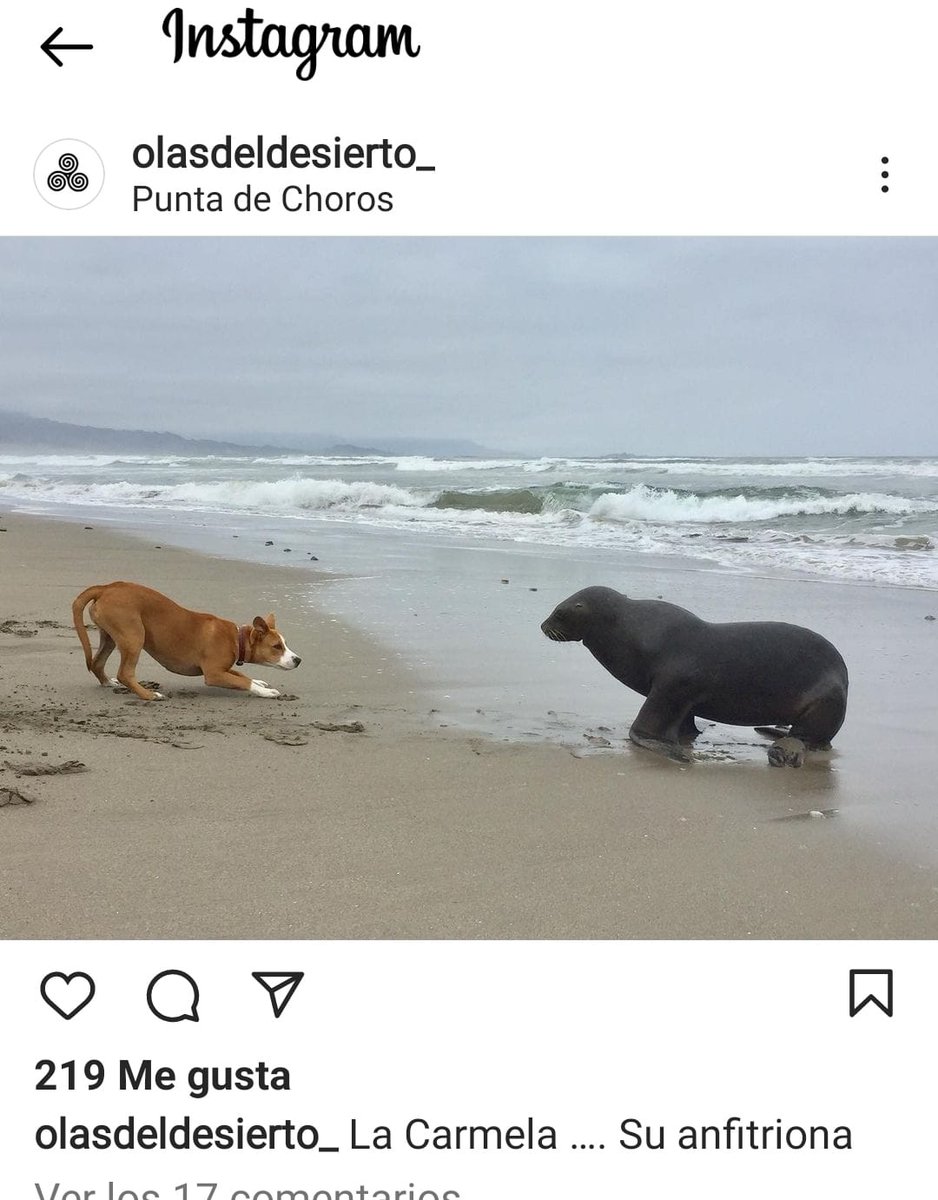 nikiarcaya's tweet photo. Mientras algunos tratamos de educar en tenencia responsable, esto es lo que nos encontramos. Por favor no lleve a sus animales a áreas protegidas!! https://t.co/x5wcaPnJgc