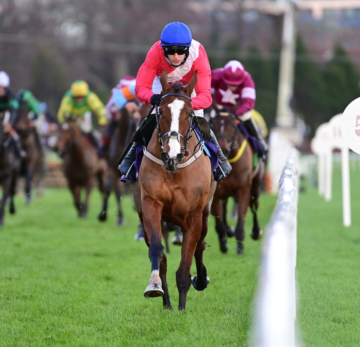 AtTheRaces's tweet photo. Sir Gerhard wins the Ballymore! 🔥 https://t.co/ptMOLpZhJu