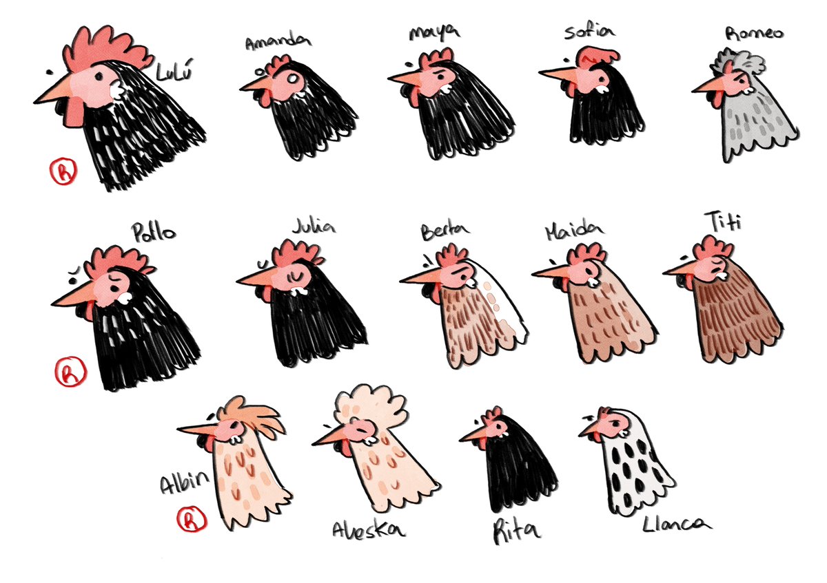 PersonalKay_'s tweet photo. Warm up doodles of all my chickens atm
Regular size and Bantams 🐔 https://t.co/DPtr4JwJNN