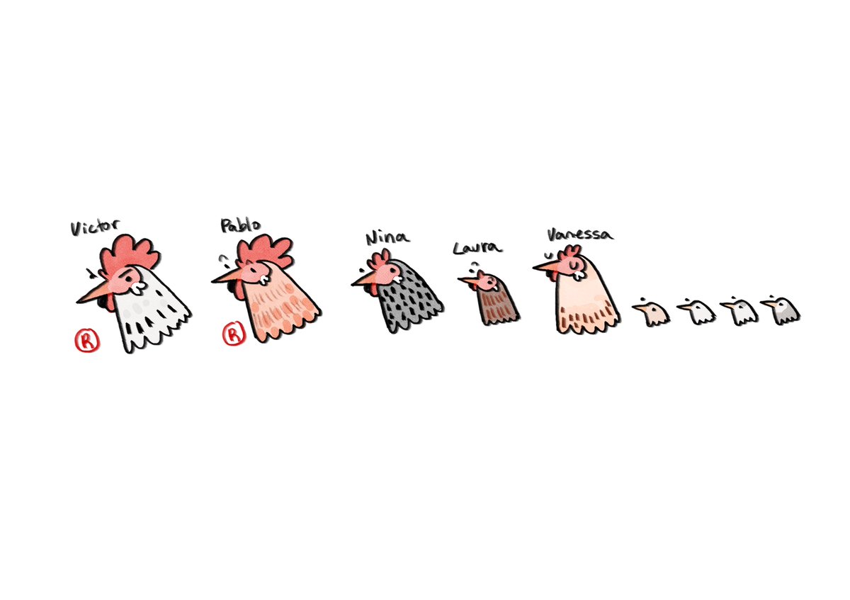 Warm up doodles of all my chickens atm
Regular size and Bantams 🐔
