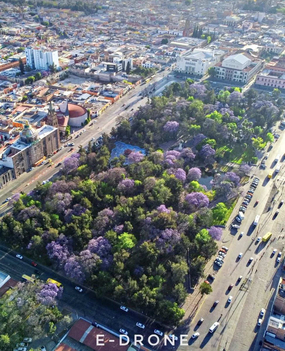Los colores de la primavera 
Alameda Juan Sarabia 
Centro Histórico 
 
#ViveSanLuisPotosi 

Vía: <a href="/Potosinos_slp/">Jorge Armendariz</a>.