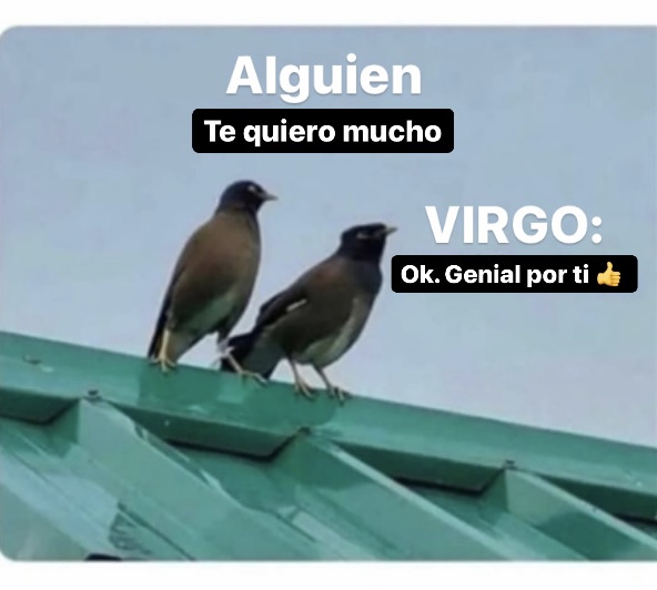 virgo_hn's tweet image. 100% ✨♍