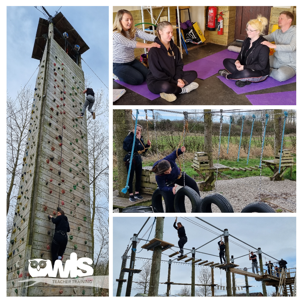 OWLS Teacher Training tweet media