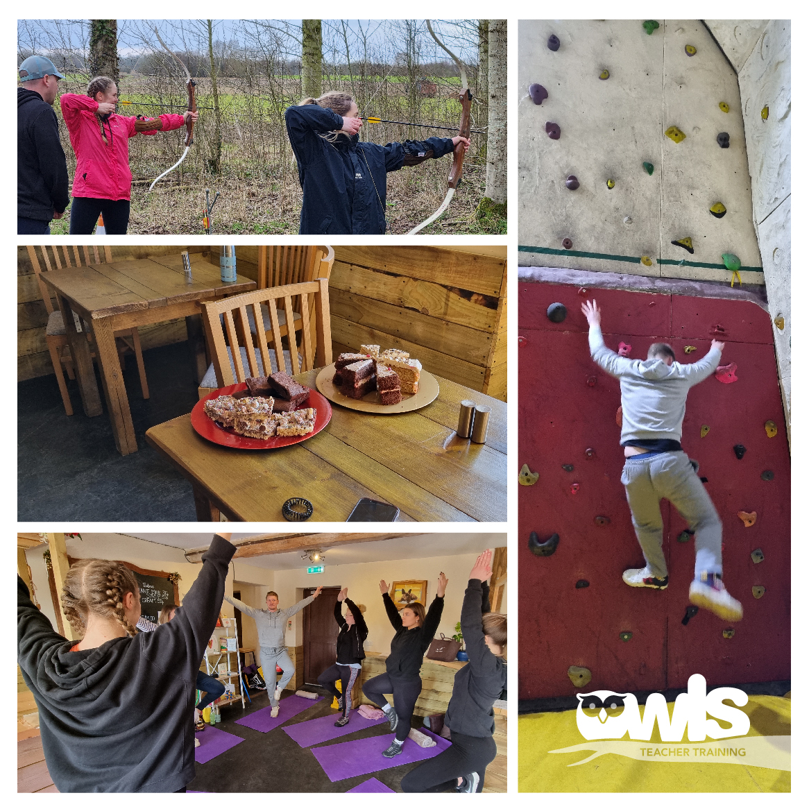 OWLS Teacher Training tweet media