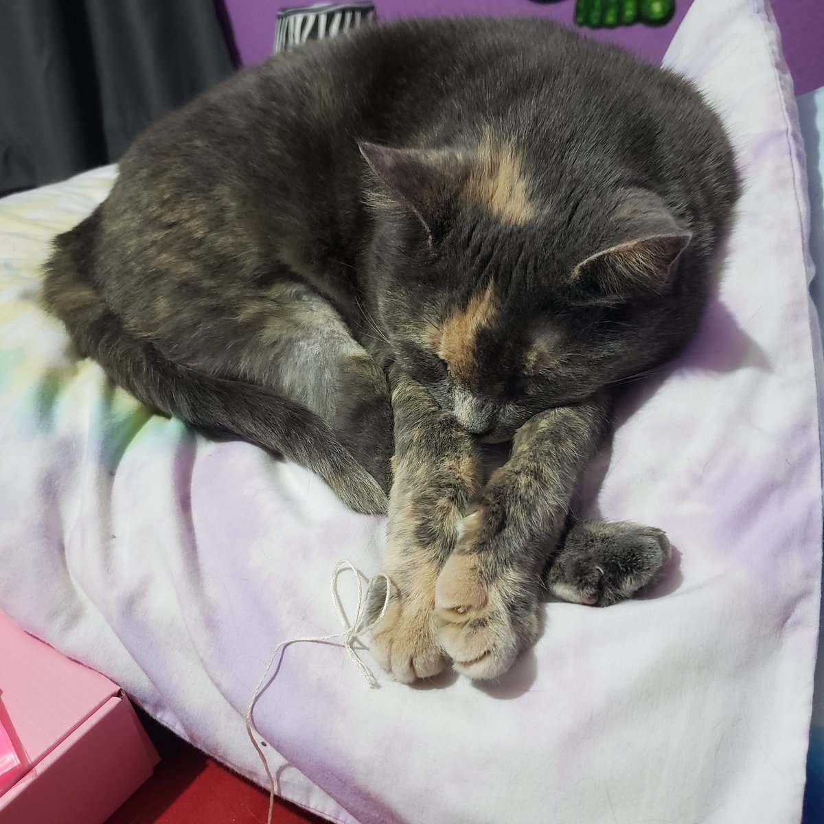 She's sooo cute!!!! 

#bambi