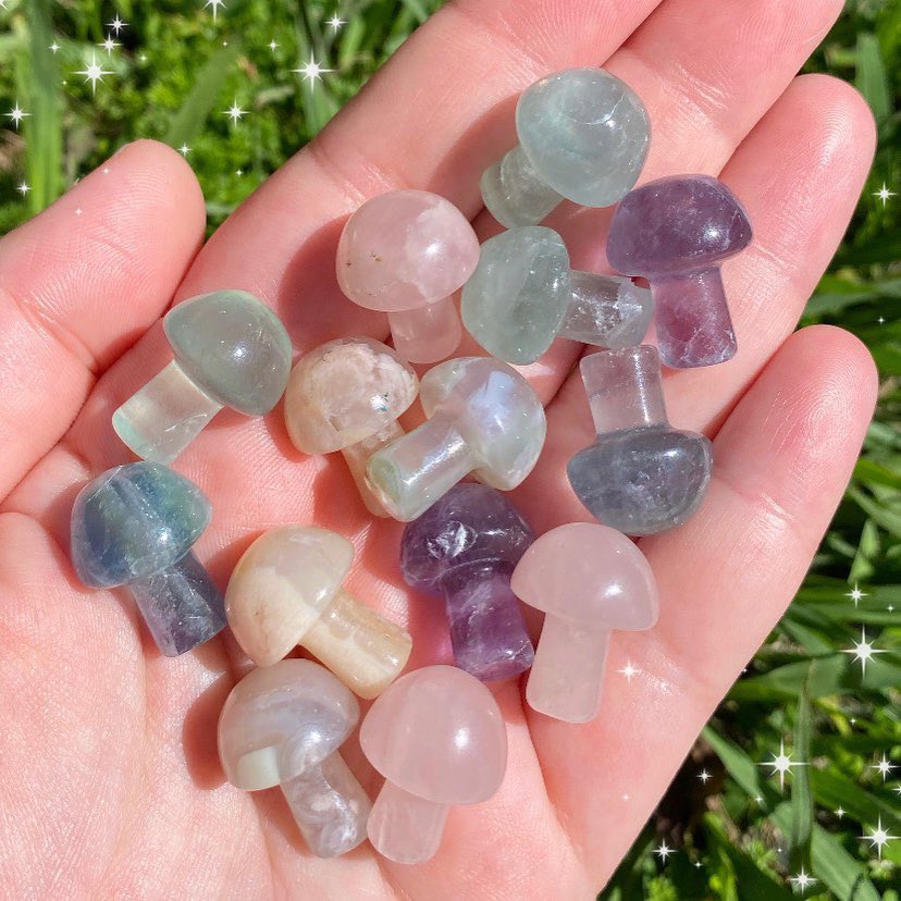 swtpeacrochet's tweet photo. I just had a huge site update!! Lots of affordable crystals and seven ready to ship bralettes 🌿✨🌼 

Rt to spread the word!!! Website linked below 🪴 https://t.co/eqThrYGmSl